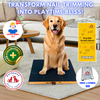 PetSpany™ Dog Nail Scratch Board