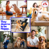PetSpany™ Dog Nail Scratch Board