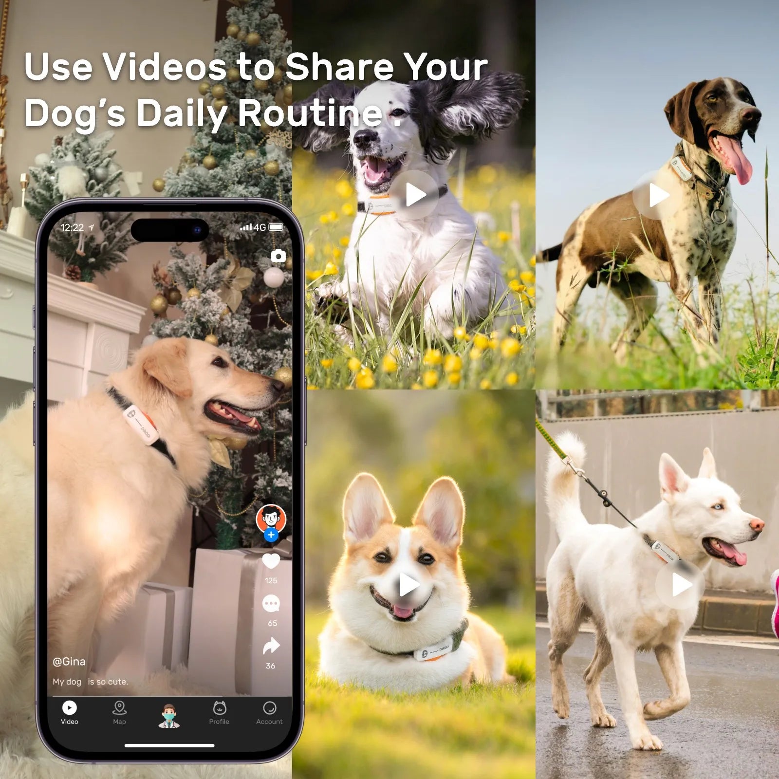 Petspany™ DBDD GPS Tracker for Dogs