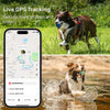 Petspany™ DBDD GPS Tracker for Dogs