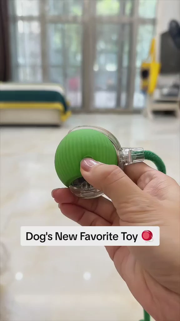 Petspany™ Smart Tail Rolling Ball – Interactive Pet Toy