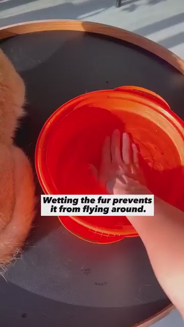 3-in-1 Cat Brush Long Hair Remover Brush for Dog Cat Silicone Pet Grooming Comb with Wipe and Water Tank Pet Product Accessories